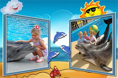 Путешествие в дельфинарий, вставить 2 фото с дельфинами в летнюю рамку онлайн