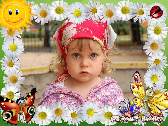 Рамочка детская летняя с ромашками и бабочками, вставить фото online самому