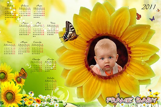 Календарь на 2011 год Подсолнух, вставить фото онлайн