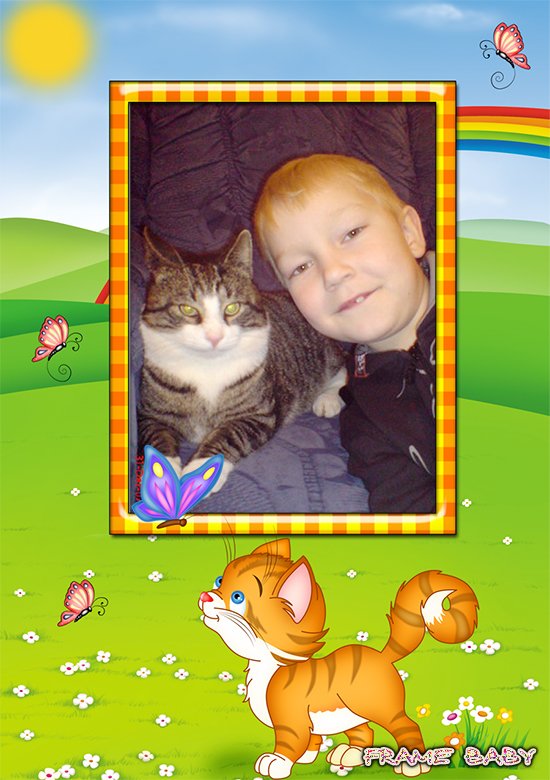 Рамка для фото Рыжий кот, онлайн фотошоп