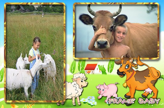 Звери на ферме, фоторамки для двух фото с животными онлайн