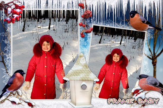 Зимняя рамка со снегирями на 2 фото, сделать в онлайн редакторе