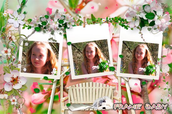 Весенняя рамка на 3 фото с цветами яблони, можно вставить свои фото онлайн