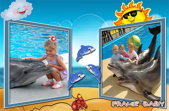 Летняя рамка на 2 фото с дельфинами, сделать онлайн