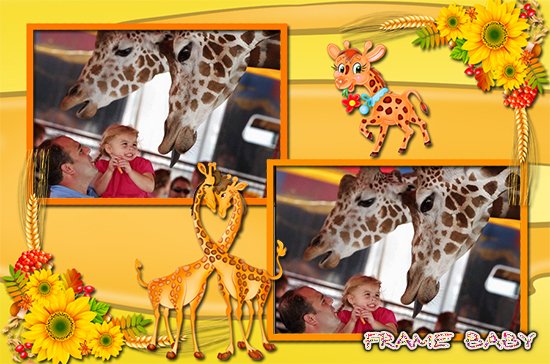 Необыкновенная встреча в зоопарке с жирафом, как вставить 2 фото в рамочку онлайн