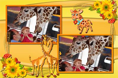 Рамка на 2 фото История о жирафах, красиво оформить фото онлайн
