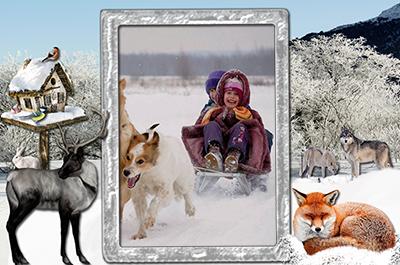 Зимняя рамка Лесные животные, рамки с природой и зверями онлайн