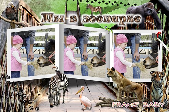 Поход в зоопарк, красиво оформить онлайн фото из зоопарка