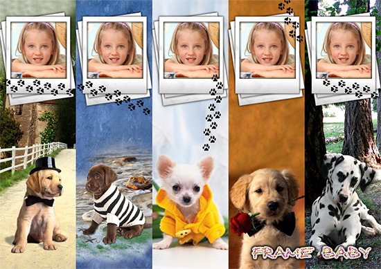Модные собаки, самому сделать онлайн закладки для книг с моим фото